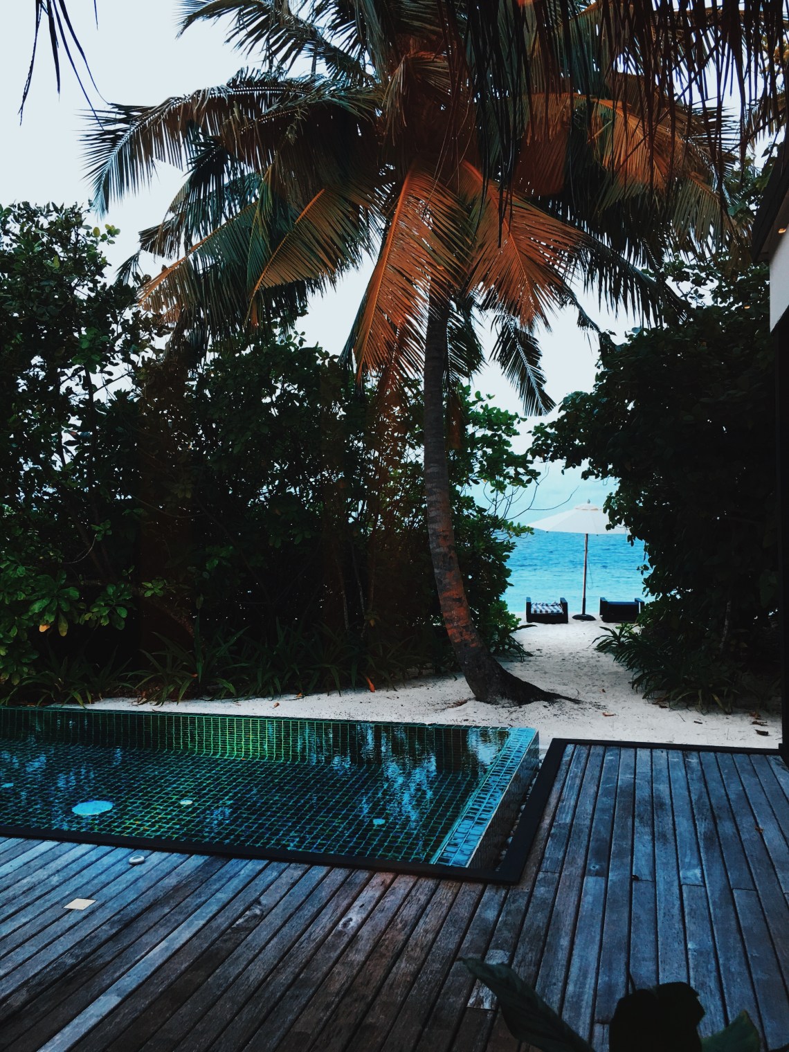 Processed with VSCO with c8 preset