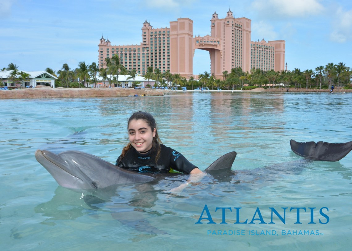 5cf3b5ba8bae49c59a19e81d4a0ad995