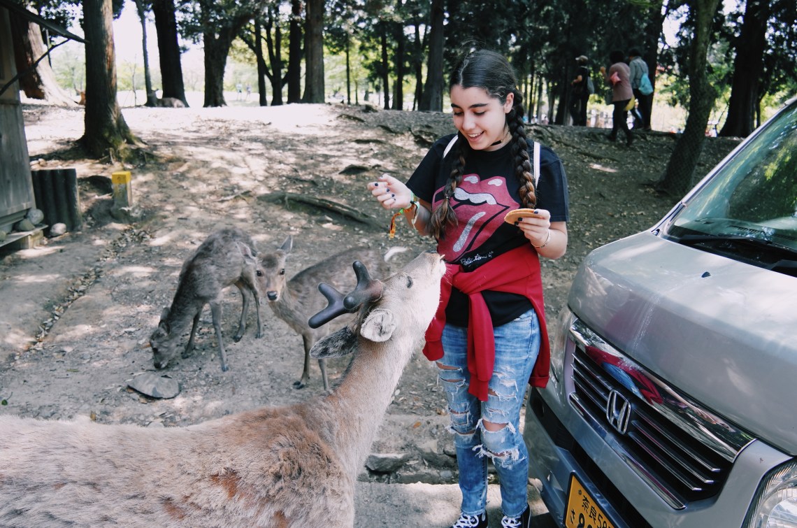 Processed with VSCO with c6 preset