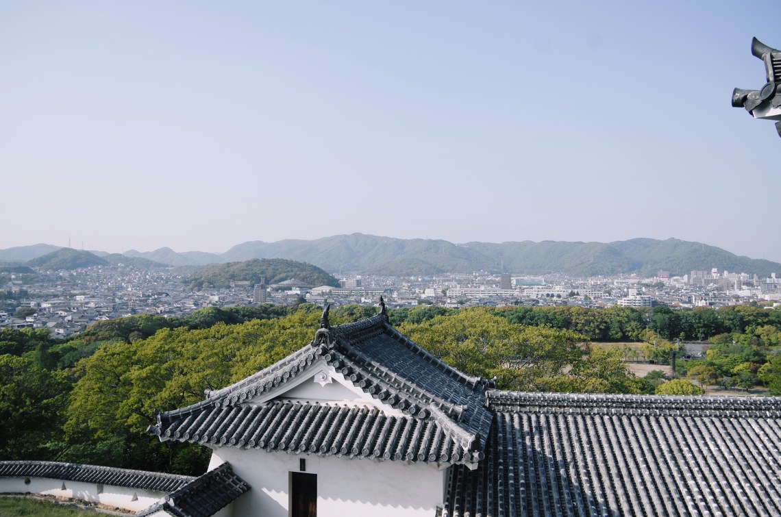 Processed with VSCO with c6 preset