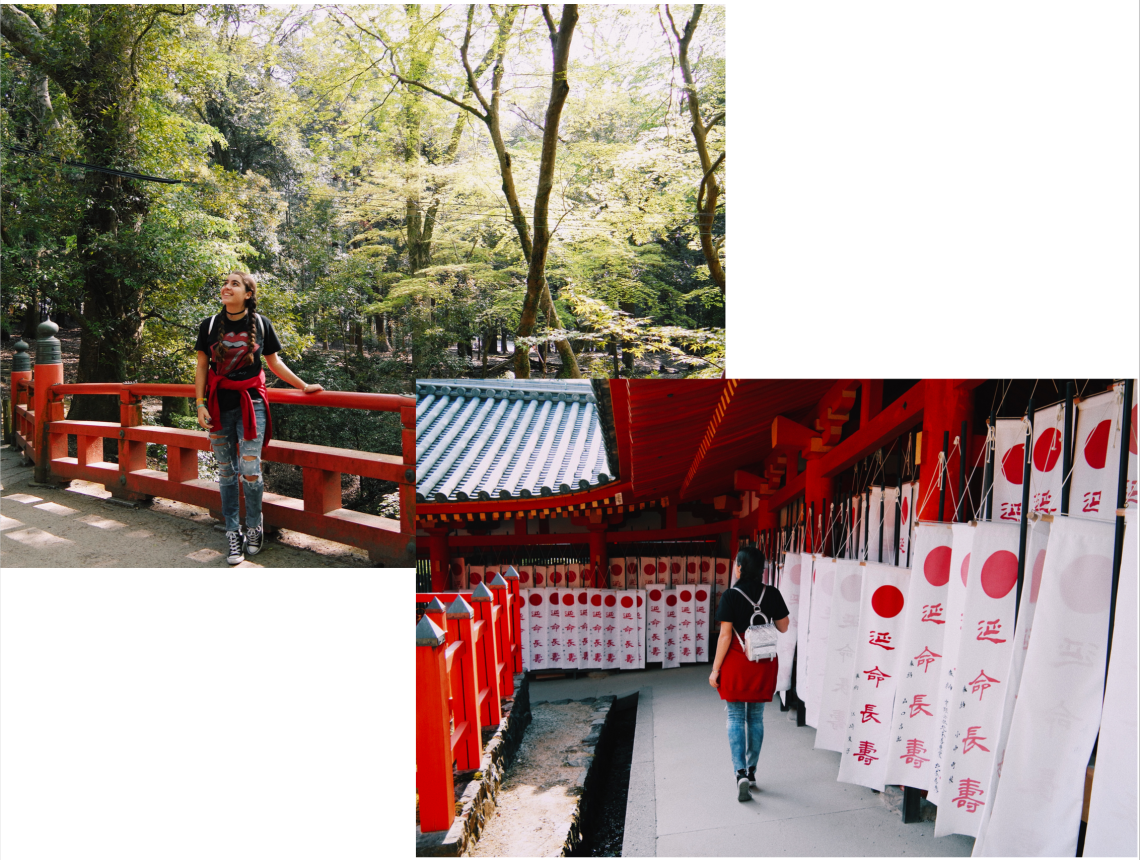 Screen Shot 2017-05-01 at 18.46.29