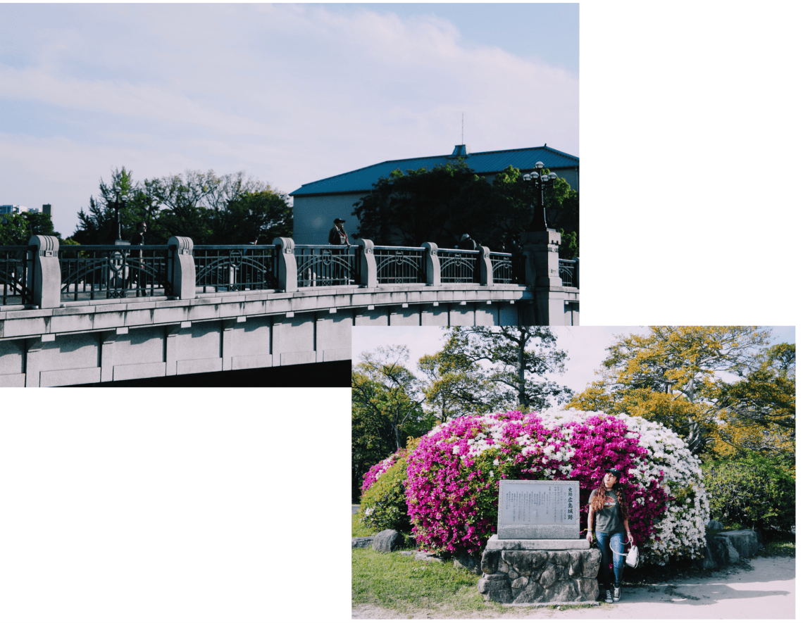 Screen Shot 2017-05-12 at 08.55.05