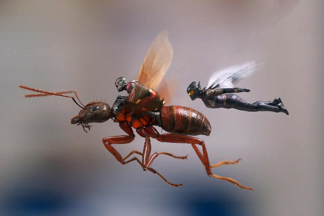ant-man-and-the-wasp-j4