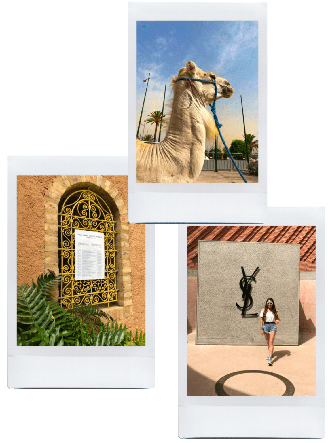 Screen Shot 2018-07-28 at 00.13.26