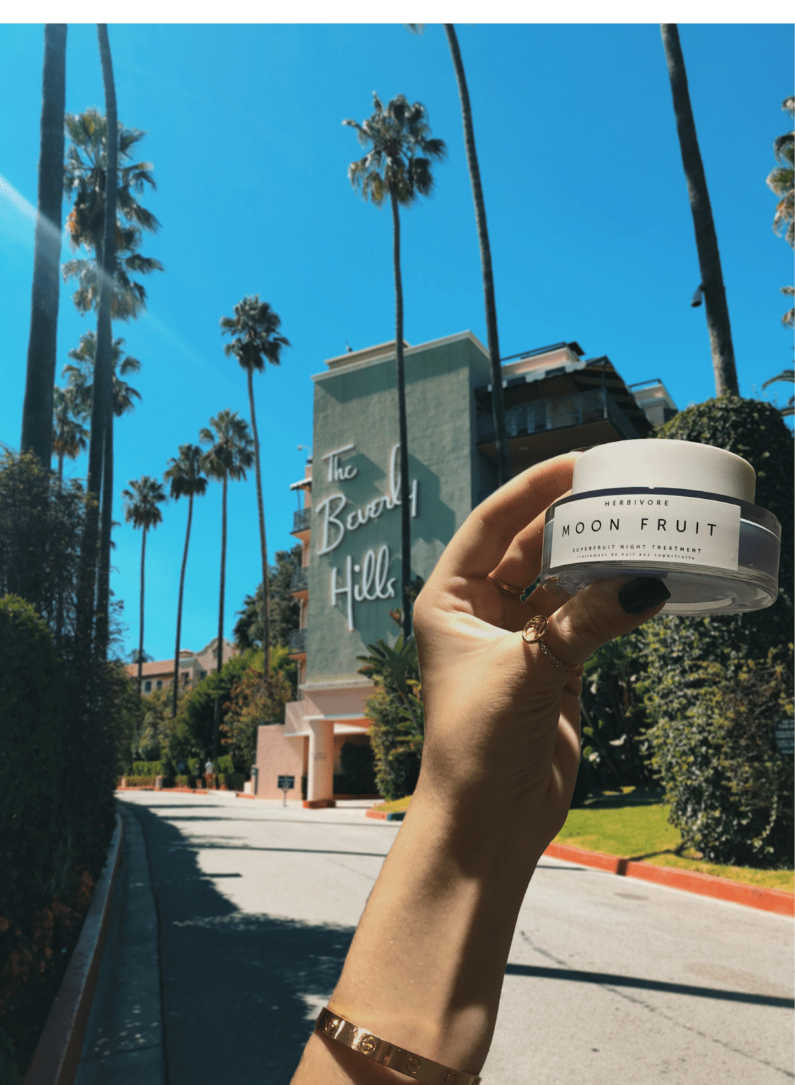 Untitled design-6 copy 4