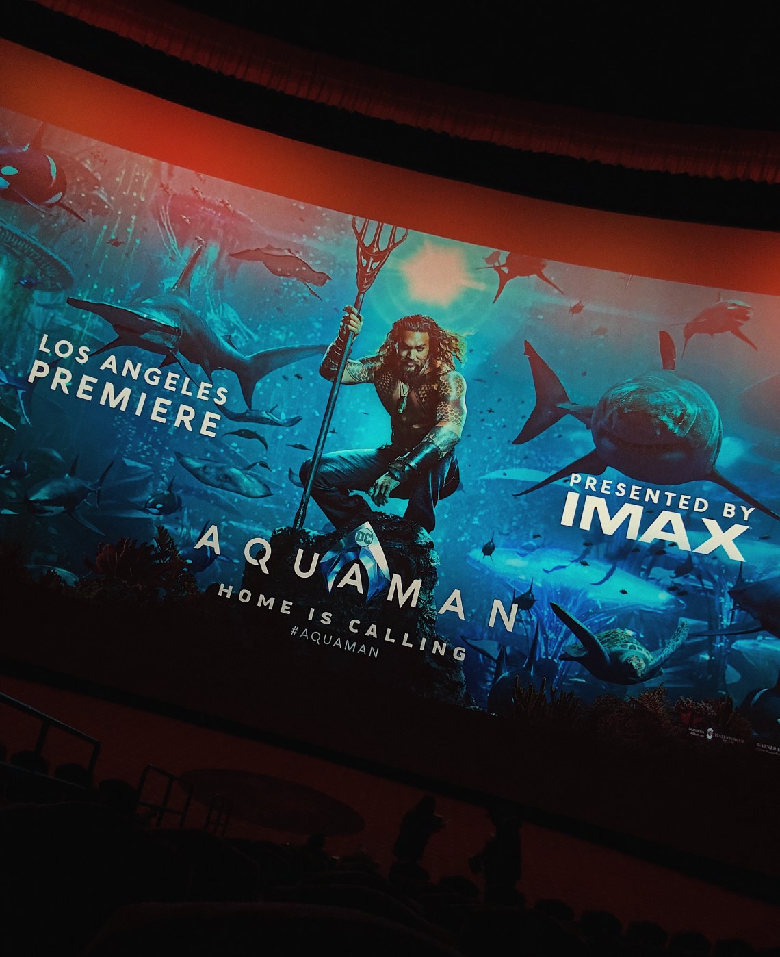 Processed with VSCO with c8 preset