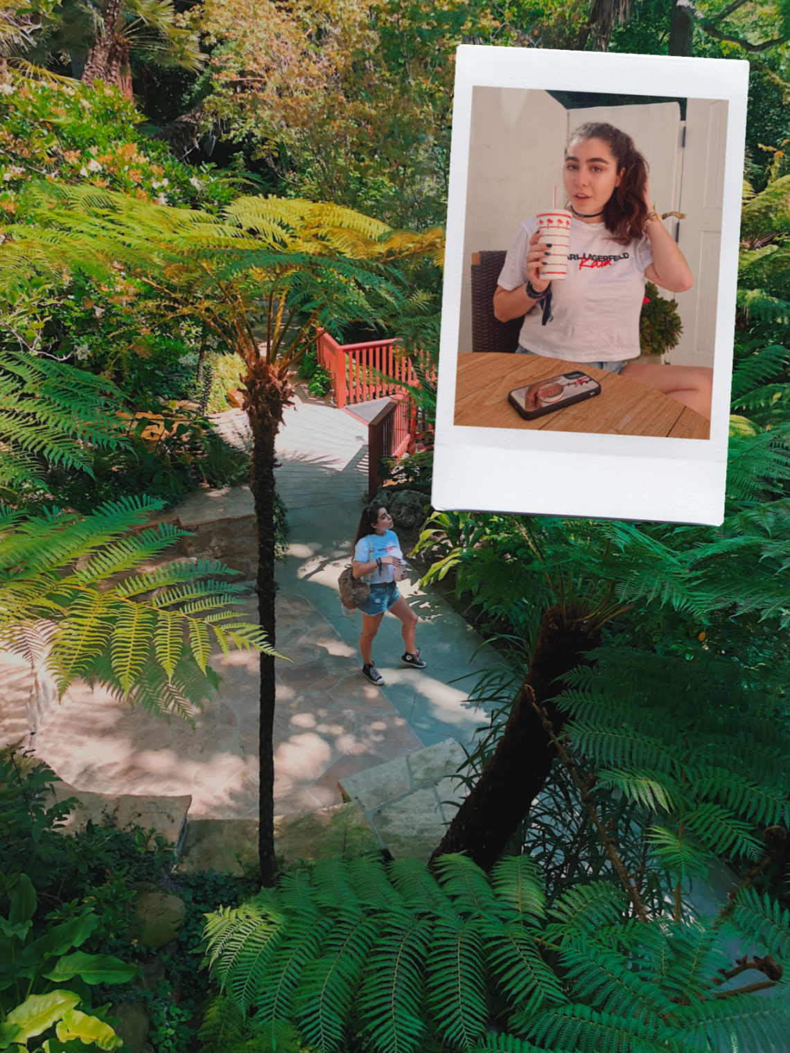 Screen Shot 2019-06-13 at 14.21.31